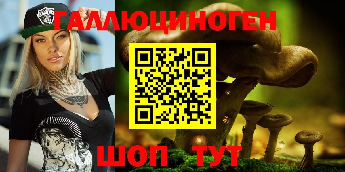 Псилоцибиновые грибы Psilocybe Гуково